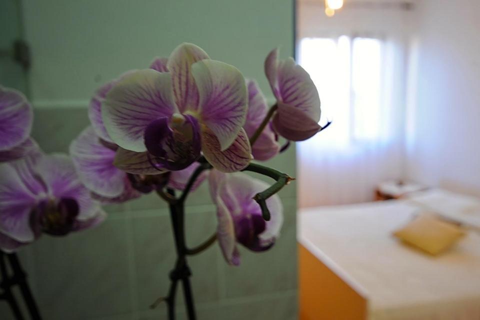 ביבינייה Apartments Marija חדר תמונה